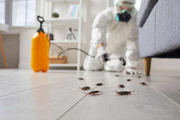Post-Treatment Bed Bug Interceptor Monitoring in Kotlik