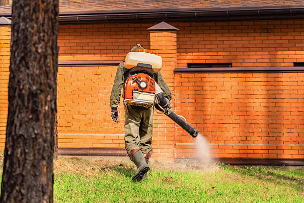 Bed Bug Clearance Verification and Documentation in Kotlik